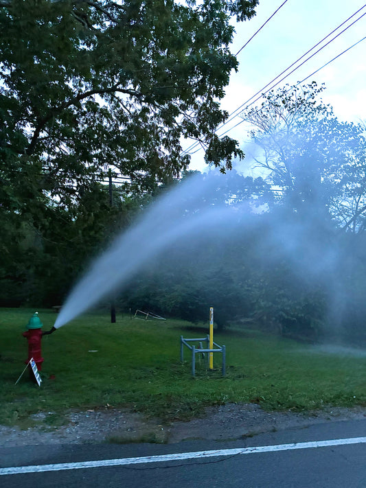 How to Water a Newly Established Lawn: A Complete Guide
